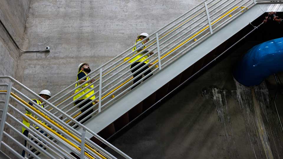 Employees walking up steps